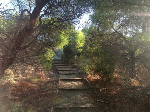 Path up to the lookout